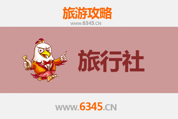 伊春友好本地旅行社推荐：探索小兴安岭的自然秘境